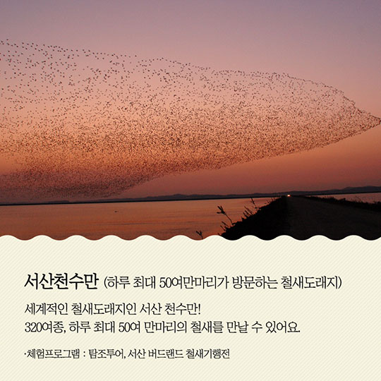 자연과 사람이 하나되는 여행 생태관광 