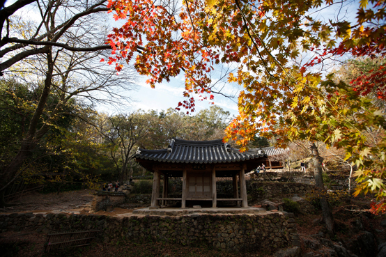 1530년 조광조의 제자 양산보가 지은 소쇄원. 한국의 민간정원 중에서 최고라는 칭송을 받고 있다. 