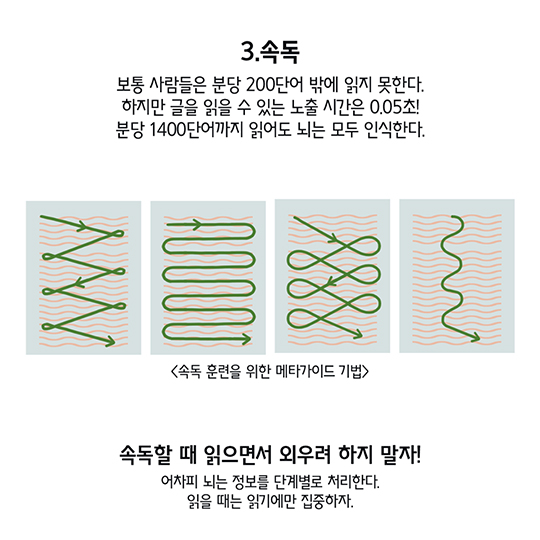 기억력 향상 대작전 뇌 사용법