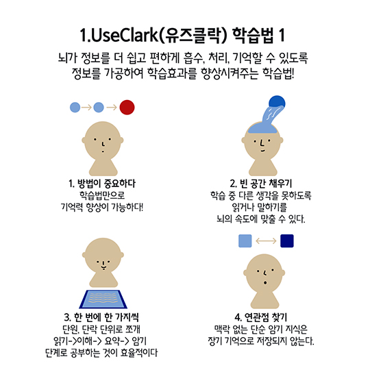 기억력 향상 대작전 뇌 사용법