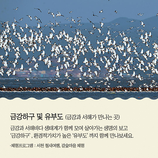 자연과 사람이 하나되는 여행 생태관광 