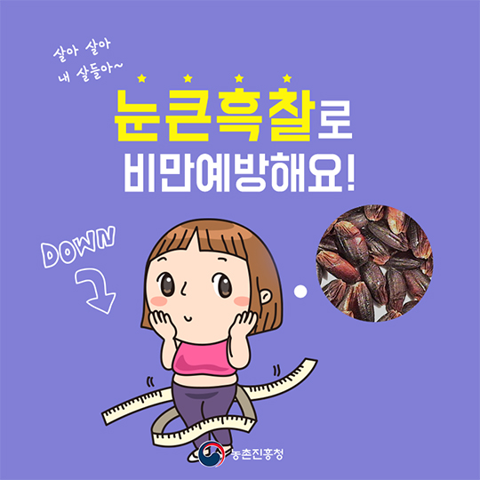 눈큰흑찰로 비만예방해요