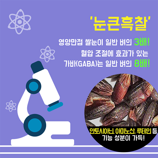 눈큰흑찰로 비만예방해요