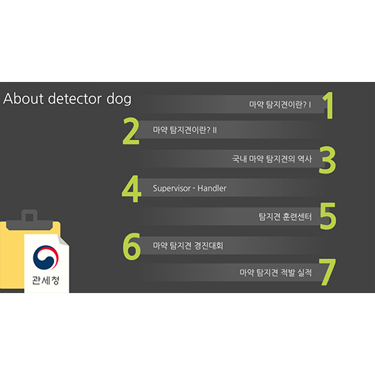 Detector Dog