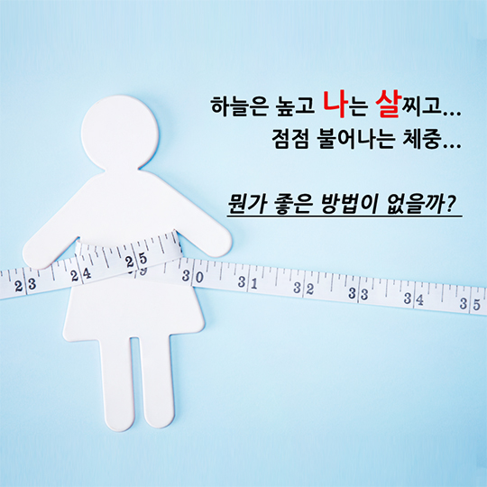 눈큰흑찰로 비만예방해요