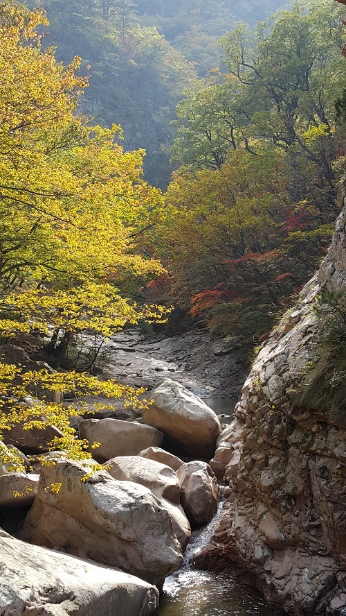 설악산의 단풍은 계곡과 어우러져 아름다운 가을 정취를 느께게 한다.