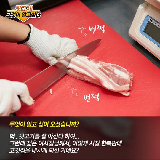 뒷고기! 그것이 알고싶다