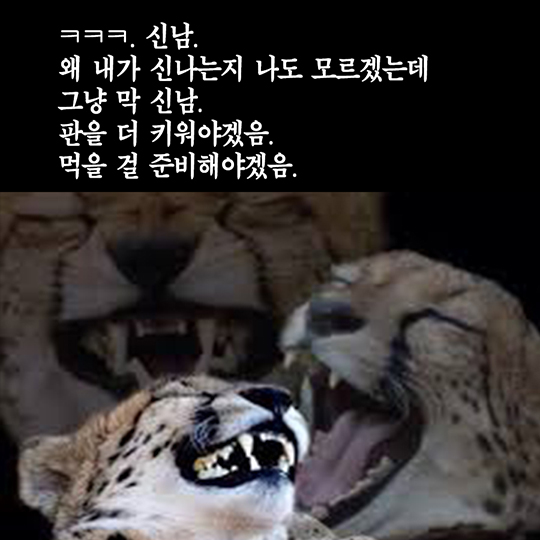 군 장병 감사편지 전달