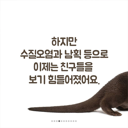 이 땅에서 오래 함께 살고픈 수달의 얘기, 들어보실래요?