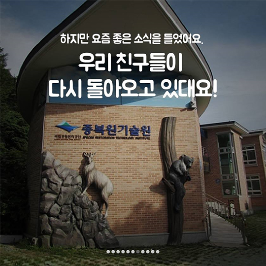 이 땅에서 오래 함께 살고픈 수달의 얘기, 들어보실래요?