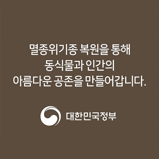 이 땅에서 오래 함께 살고픈 수달의 얘기, 들어보실래요?