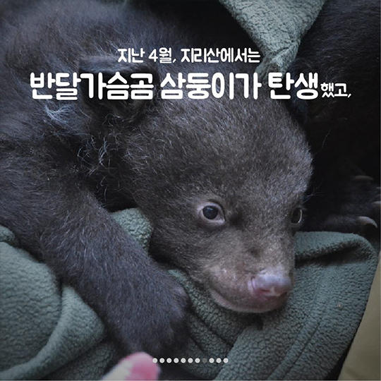이 땅에서 오래 함께 살고픈 수달의 얘기, 들어보실래요?