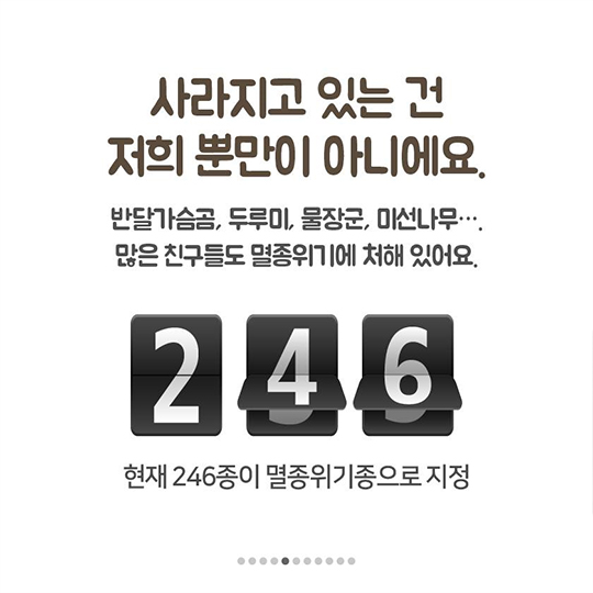 이 땅에서 오래 함께 살고픈 수달의 얘기, 들어보실래요?