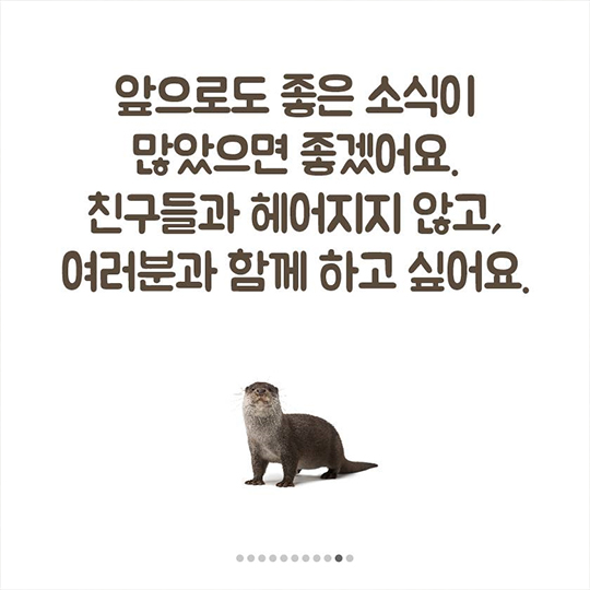 이 땅에서 오래 함께 살고픈 수달의 얘기, 들어보실래요?