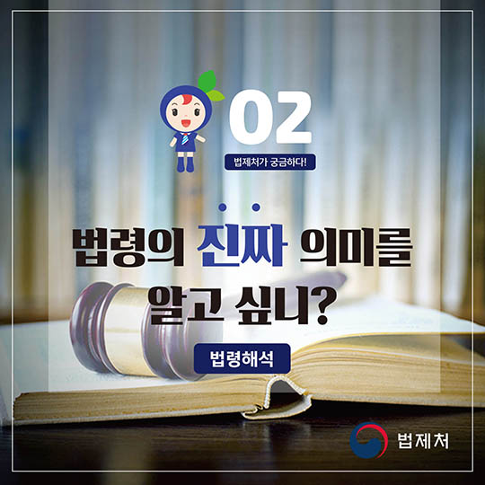 법령의 진짜 의미를 알고 싶니?