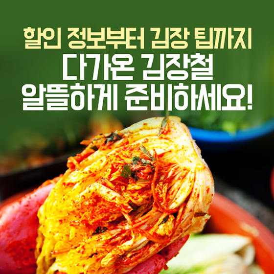 신선한 배추가 반값! 다가온 김장철, 남들보다 알뜰하게 준비하세요