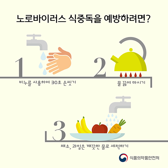 안녕하세요. 나는 노로바이러스에요.