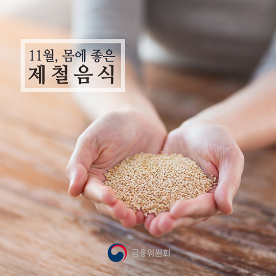 11월 제철음식 알아보기