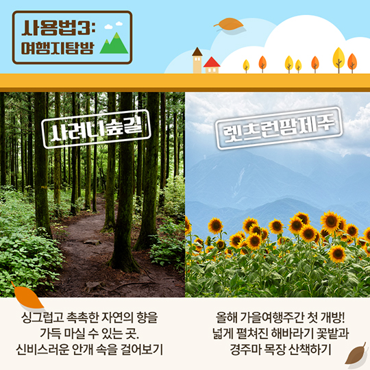 가을 전통시장 사용 설명서 제주