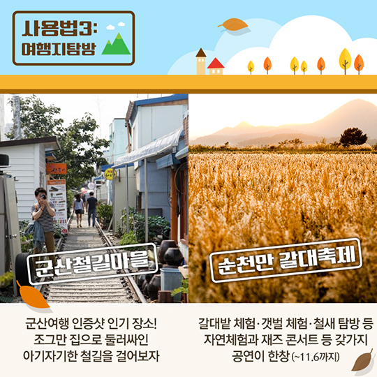 가을 전통시장 사용 설명서 전라