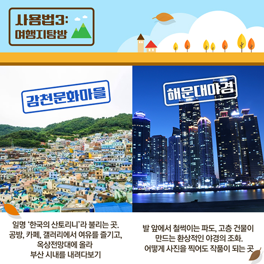 가을 전통시장 사용 설명서 부산