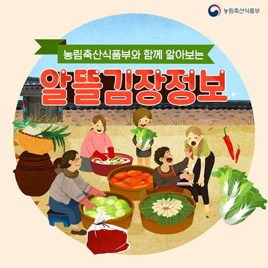 알뜰 김장 정보
