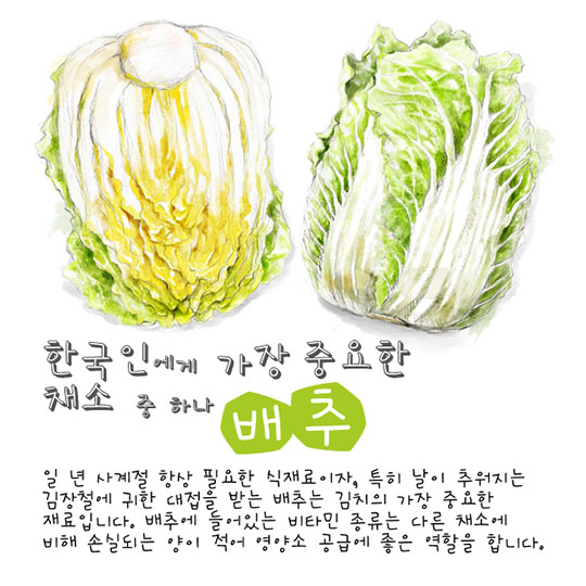 11월 제철농식품
