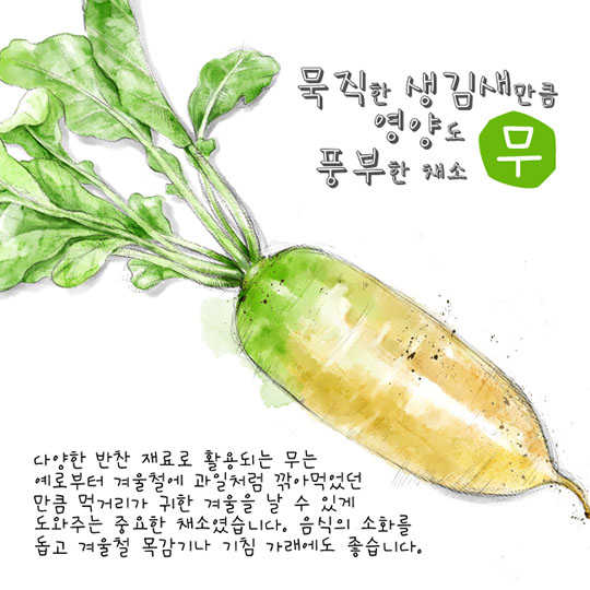 11월 제철농식품