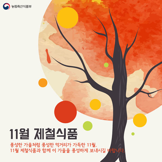 11월 제철농식품