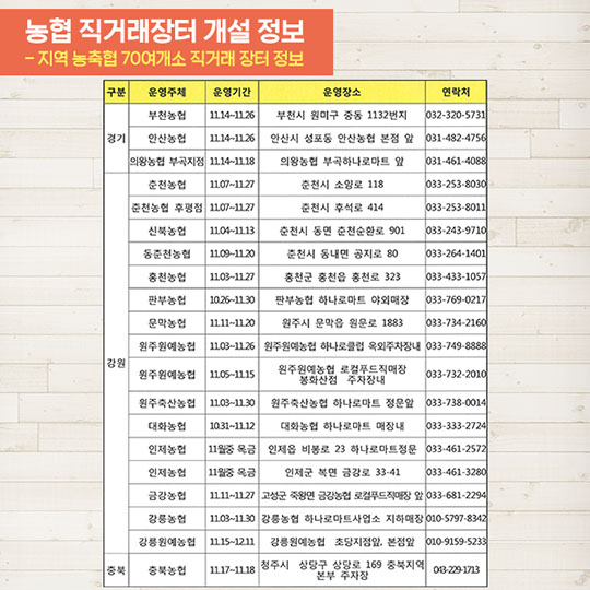 알뜰 김장 정보