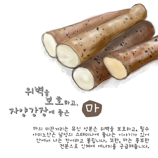 11월 제철농식품