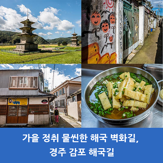 11월, 가볼 만한 여행지를 추천합니다