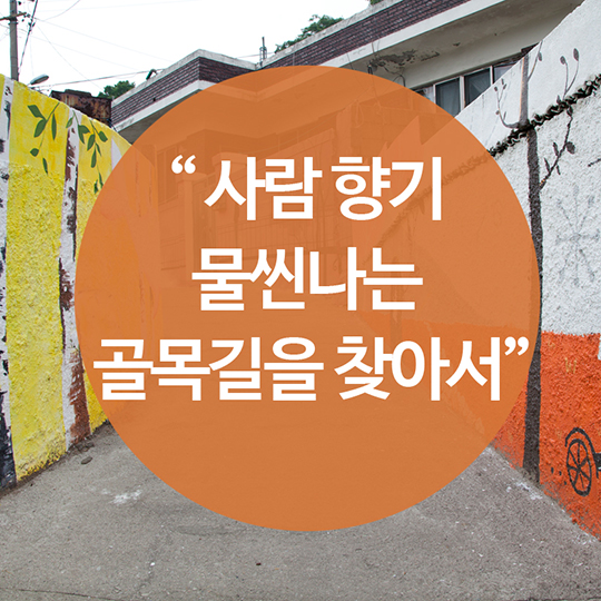 11월, 가볼 만한 여행지를 추천합니다