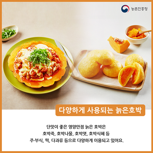 알고 먹으면 더 맛있는 늙은호박