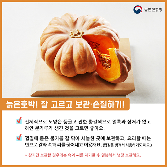 알고 먹으면 더 맛있는 늙은호박