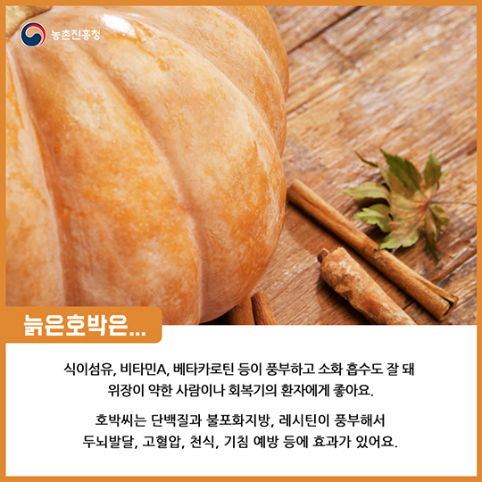 알고 먹으면 더 맛있는 늙은호박