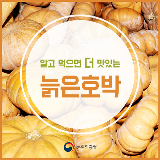 알고 먹으면 더 맛있는 늙은호박
