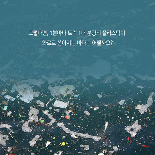 당신의 아이디어-From Sea to Shoe