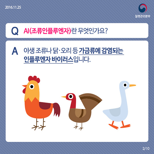 AI도 정확히 알고 대비하면 두렵지 않습니다!