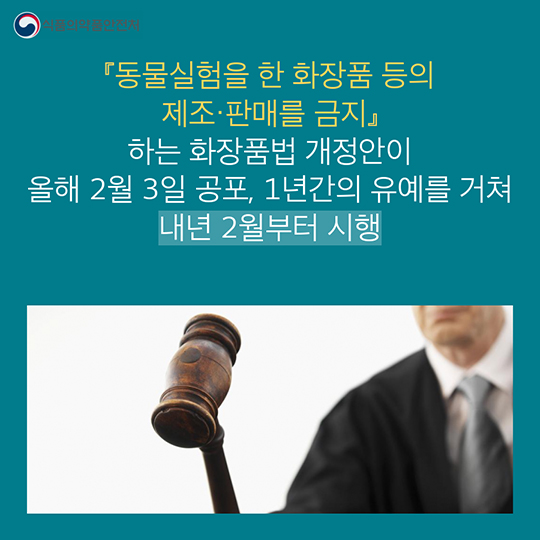 동물실험 화장품 이제, NO!
