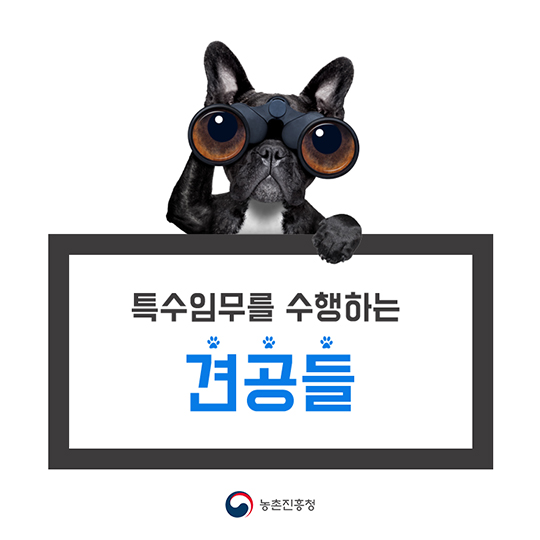 특수임무를 수행하는 견공들