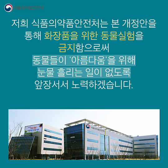 동물실험 화장품 이제, NO!