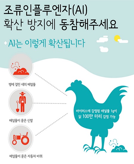 질병관리본부는 조류인플루엔자(AI)확산 방지에 최선을 다하고 있다.(출처=농림축산식품부)