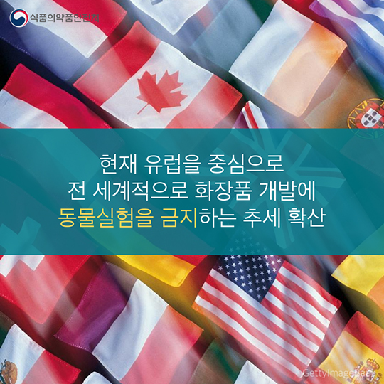 동물실험 화장품 이제, NO!