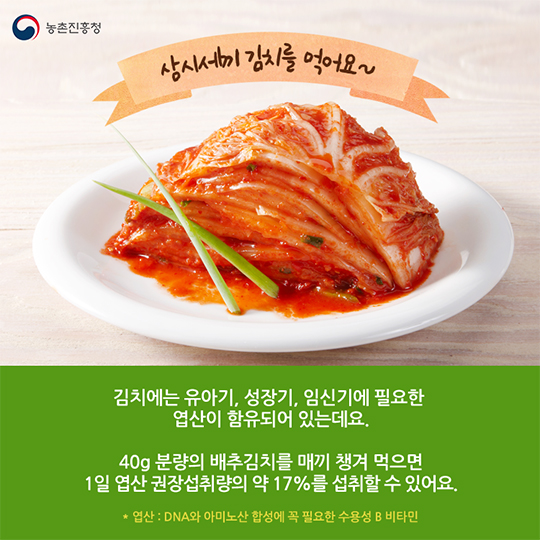 김치를 먹어야 하는 이유