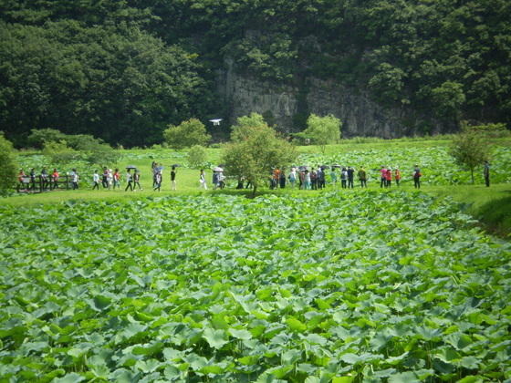 시민들이 수생식물이 가득한 회야댐 생태습지를 탐방하고 있다.