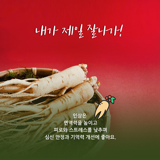 나는 인삼입니다