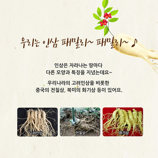나는 인삼입니다