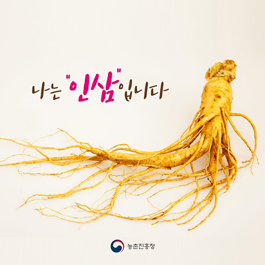 나는 인삼입니다