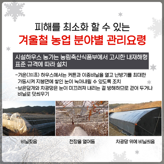 겨울철 재해 예방법